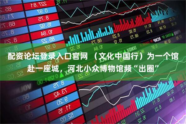 配资论坛登录入口官网 （文化中国行）为一个馆赴一座城，河北小众博物馆频“出圈”