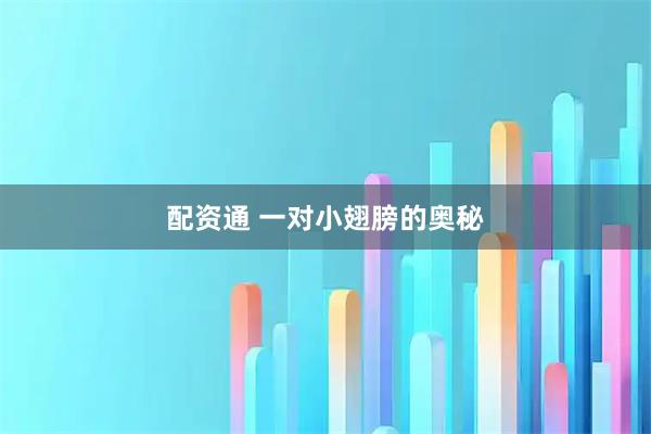 配资通 一对小翅膀的奥秘